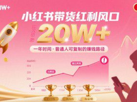 一年时间靠小红书带货项目年入20w+，最不能错的大红利项目