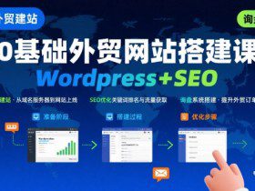 WordPress外贸建站+SEO优化课程，手把手教你从0到1搭建可获得询盘的外贸网站