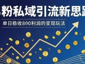 男粉私域引流新思路，单日稳收8张利润的变现玩法