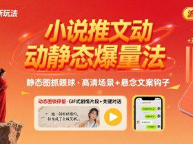 8月小说推文全新玩法，动静态图片+搭配小说文案爆量玩法