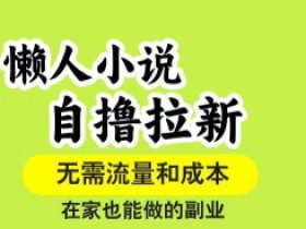 懒人小说自撸拉新，无需流量，一个账号一条作品就可以打爆收益，在家也能轻松做的副业【揭秘】