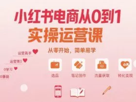 小红书电商从0到1实操运营课，从零开始，简单易学