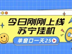 苏宁全自动采集挂G项目 稳定可批量 单窗口收益30+ 附教程【揭秘】