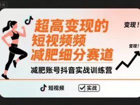 超高变现的短视频减肥细分赛道，减肥账号抖音实战训练营