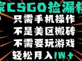 CSGO自动捡漏项目，最新独家玩法，不是美区搬砖，不需要了解和玩游戏，新手小白轻松月入1W+【揭秘】