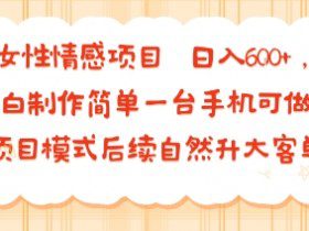 女性情感项目 小白制作简单一台手机可做 项目模式后续自然升大客单 日入6张