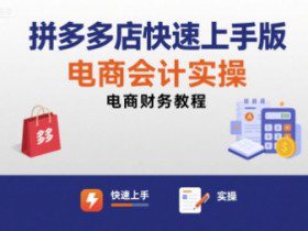 拼多多店快速上手版电商会计实操-电商财务教程