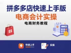 拼多多店快速上手版电商会计实操-电商财务教程