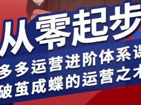 拼多多运营进阶系统课，从零起步，多多运营进阶体系课，破茧成蝶的运营之术
