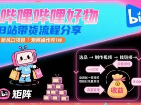 哔哩哔哩好物，B站带货流程分享，新风口项目，矩阵操作月1W