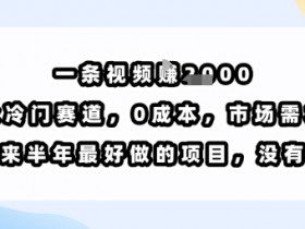 一条视频挣1k，小众冷门赛道，0成本，市场需求大，是未来半年最好做的项目，没有之一