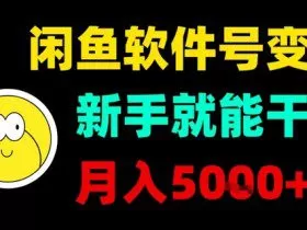 闲鱼软件号变现，新手就能干，月入5k+
