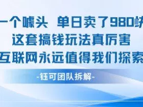 一个噱头单日卖了980米 这套搞钱玩法真厉害 互联网永远值得我们探索