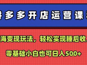 拼多多开店运营课程：蓝海变现玩法，轻松实现睡后收入，零基础小白也可日入5张