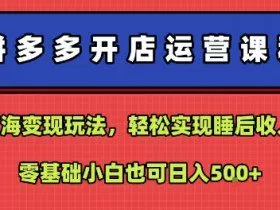 拼多多开店运营课程：蓝海变现玩法，轻松实现睡后收入，零基础小白也可日入5张