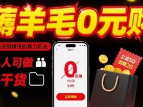薅羊毛0元购，免单还倒挣钱的暴力玩法，人人可做，纯干货