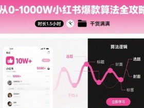 从0-1000W小红书爆款算法全攻略，时长1.5小时，干货满满