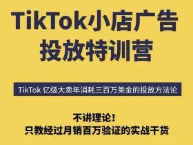 TikTok小店广告投放特训营，6天破局计划专治各种“投不动”，教你经过月销百万验证的实战干货