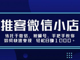 推客微信小店依托于微信、视频号，手把手教你如何快速变现 轻松日入1k+【揭秘】