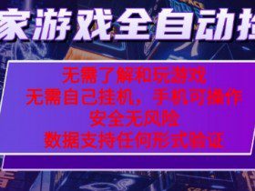 游戏全自动捡漏项目，最新独家玩法，每天操作几十分钟，无任何难度，当天见收益【揭秘】