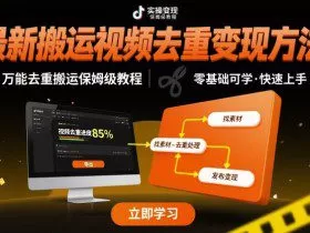 最新搬运视频去重变现方法，万能去重搬运保姆级教程