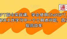 GPT指令实战课，学会使用ChatGPT，解决工作学习中一个个具体问题，真正提高效率