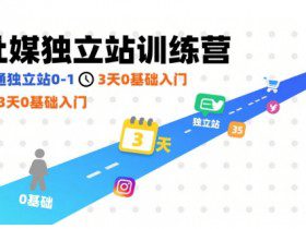 社媒独立站训练营，跑通独立站0-1，3天0基础入门