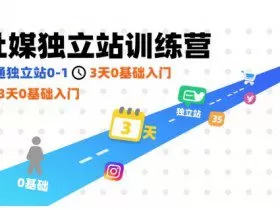 社媒独立站训练营，跑通独立站0-1，3天0基础入门