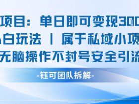 新项目单日即可变现3张的小白玩法无脑操作不封号安全引流