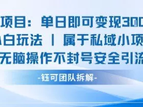 新项目单日即可变现3张的小白玩法无脑操作不封号安全引流