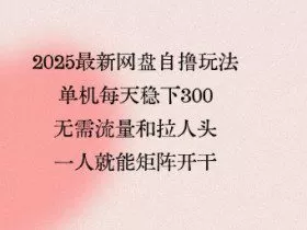 2025最新网盘自撸玩法，单机每天稳下3张，无需流量和拉人头，一个人就可轻松矩阵，全网独一份【揭秘】