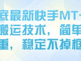 8月底最新快手MT卡模版搬运技术，简单去重，稳定不掉框