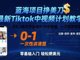 蓝海项目挣美刀，最新Tiktok中视频计划教学，从0-1教你学会海外TK中视频，一次性讲清楚