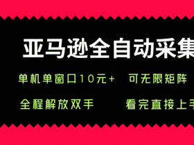 亚马逊全自动采集，单机单窗口一天10+，可无限矩阵去做【揭秘】