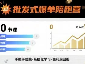 批发式爆单陪跑营，20节课带你实现批发式爆单，带你经松月入过W