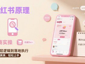 小红书原理以及详细实操流程，小红书电商教程