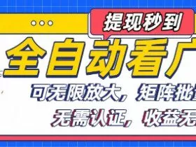 全自动看广告项目，可无限放大，可矩阵批量操作