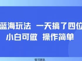 小众蓝海玩法 一天搞了四位数 小白可做 操作简单