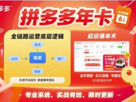 拼多多年卡【8月更新6节】拼多多全链路运营底层逻辑，超级爆单术