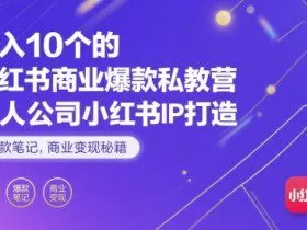 月入10个的小红书商业爆款私教营，一人公司小红书IP打造，爆款笔记，商业变现秘籍