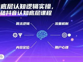 抖音底层认知逻辑实操，零基础抖音认知底层课程