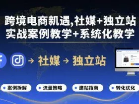 跨境电商新机遇，社媒+独立站，实战案例教学+系统化教学