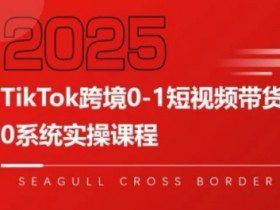 TikTok跨境0-1短视频带货，系统拆解TikTok跨境带货全链路，实现跨境可持续盈利