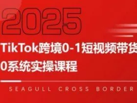 TikTok跨境0-1短视频带货，系统拆解TikTok跨境带货全链路，实现跨境可持续盈利