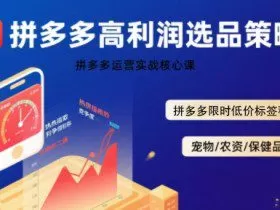 拼多多选品暴利技术实战课，拼多多高利润选品策略，拼多多限时低价标签秘诀