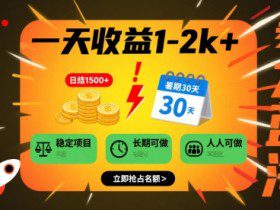 一天收益1-2k+ 稳定项目，暑期暴力蓝海项目，长期稳定，人人可做【揭秘】