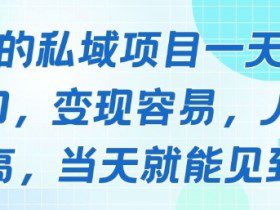 好做的私域项目一天变现1k+，变现容易，人群占比高，当天就能见到钱