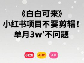 小白可来 小红书项目不需要剪辑 单月3w不是问题
