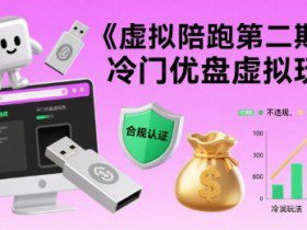 虚拟陪跑第二期，冷门优盘虚拟玩法，不违规，利润可观