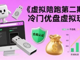 虚拟陪跑第二期，冷门优盘虚拟玩法，不违规，利润可观